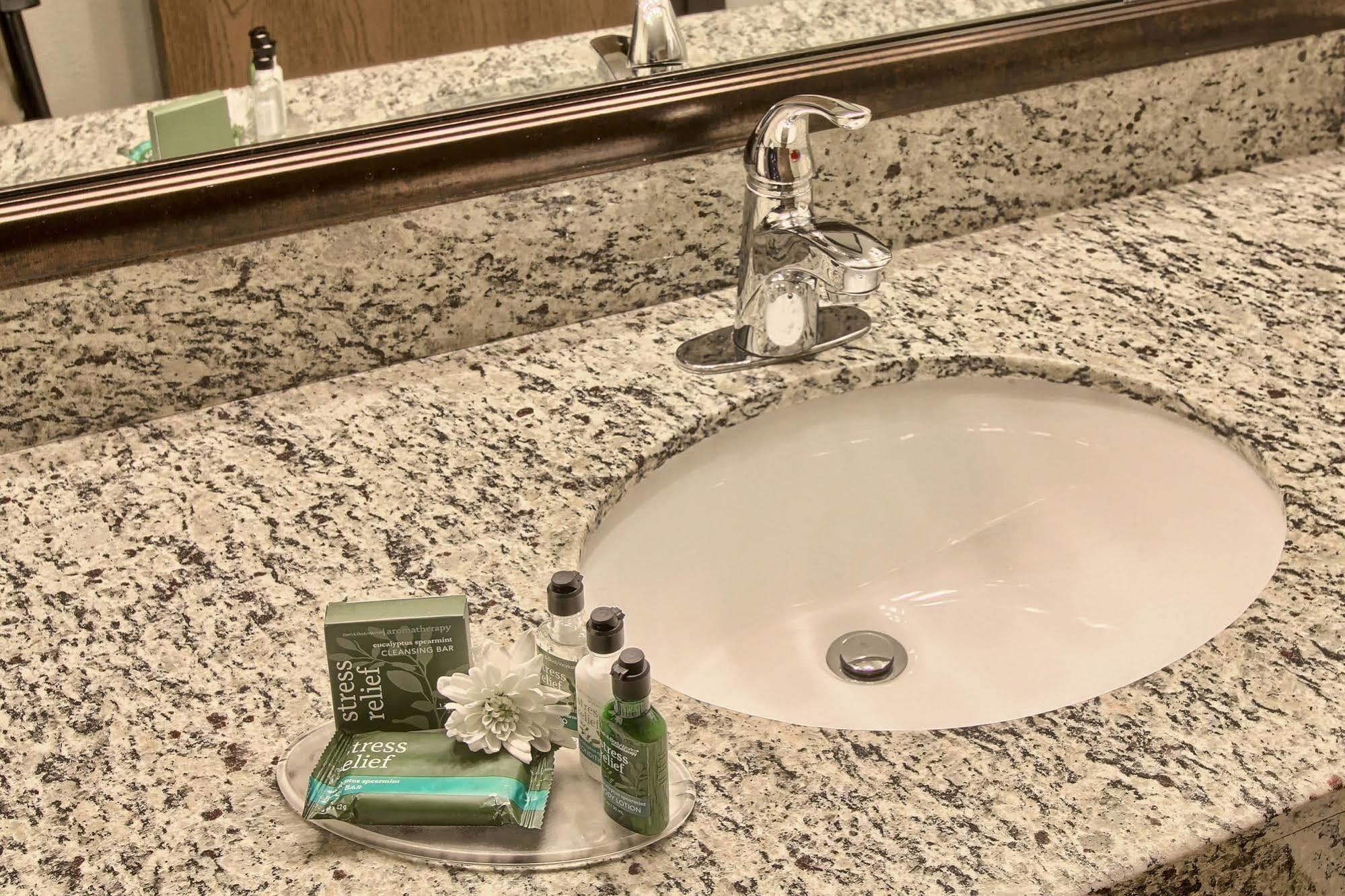 Blossom Hotel & Suites Traverse City Esterno foto